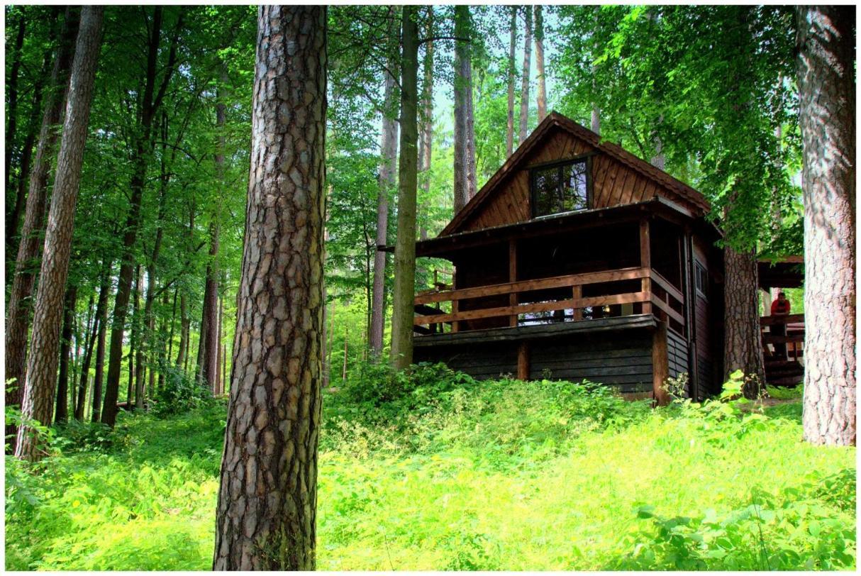 Campsite Osrodek Wypoczynek Wodnik
